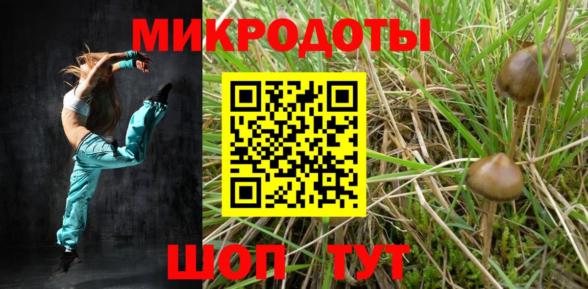 Псилоцибиновые грибы Psilocybe Чапаевск