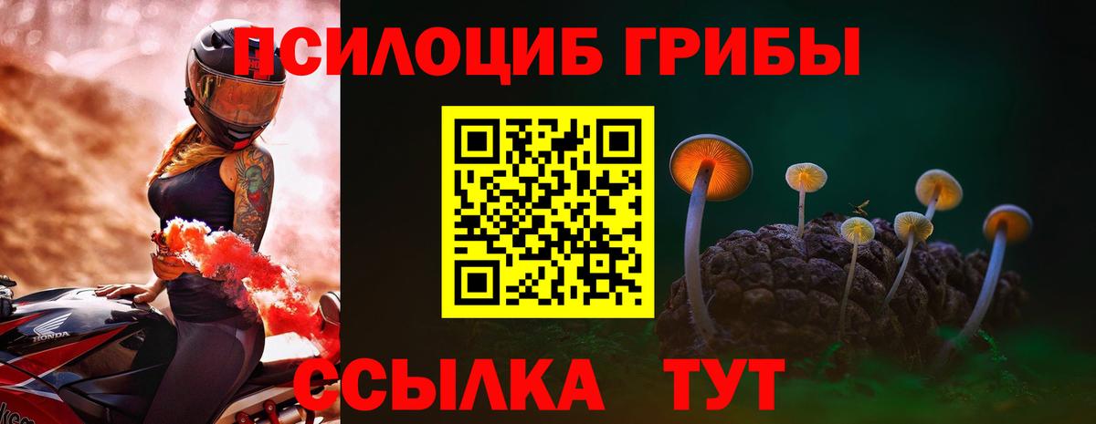 Псилоцибиновые грибы MAGIC MUSHROOMS  Вход с VPN  Чапаевск  Галлюциногенные грибы MAGIC MUSHROOMS 